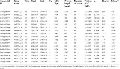 Genome-wide and molecular characterization of the DNA replication helicase 2 (DNA2) gene family in rice under drought and salt stress